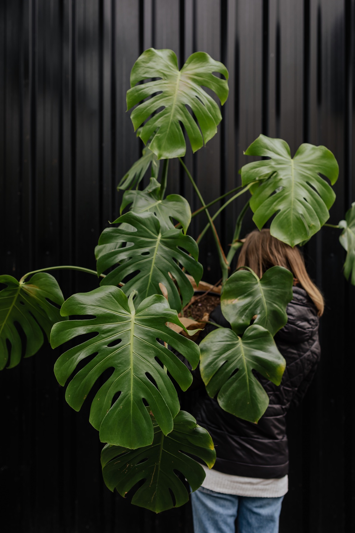 Une adolescente entourée de grandes feuilles de monstera